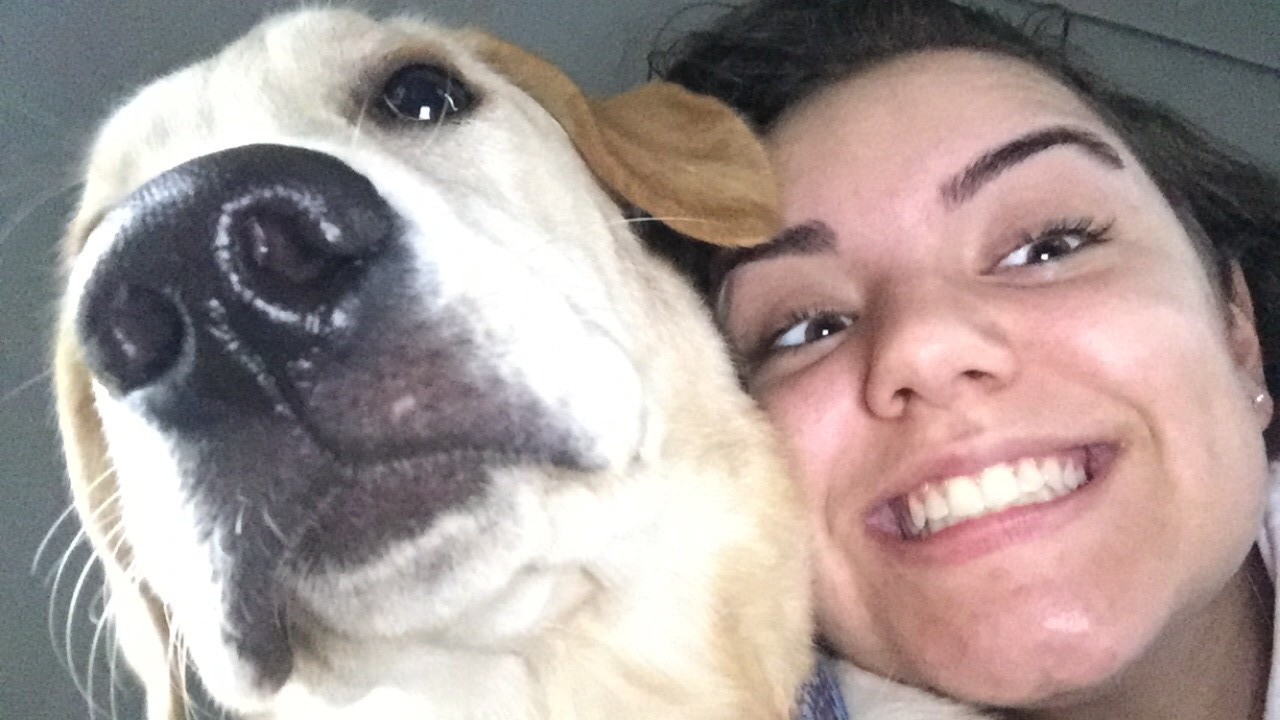 Faritsa, pet sitter in Zwijndrecht, photo 2
