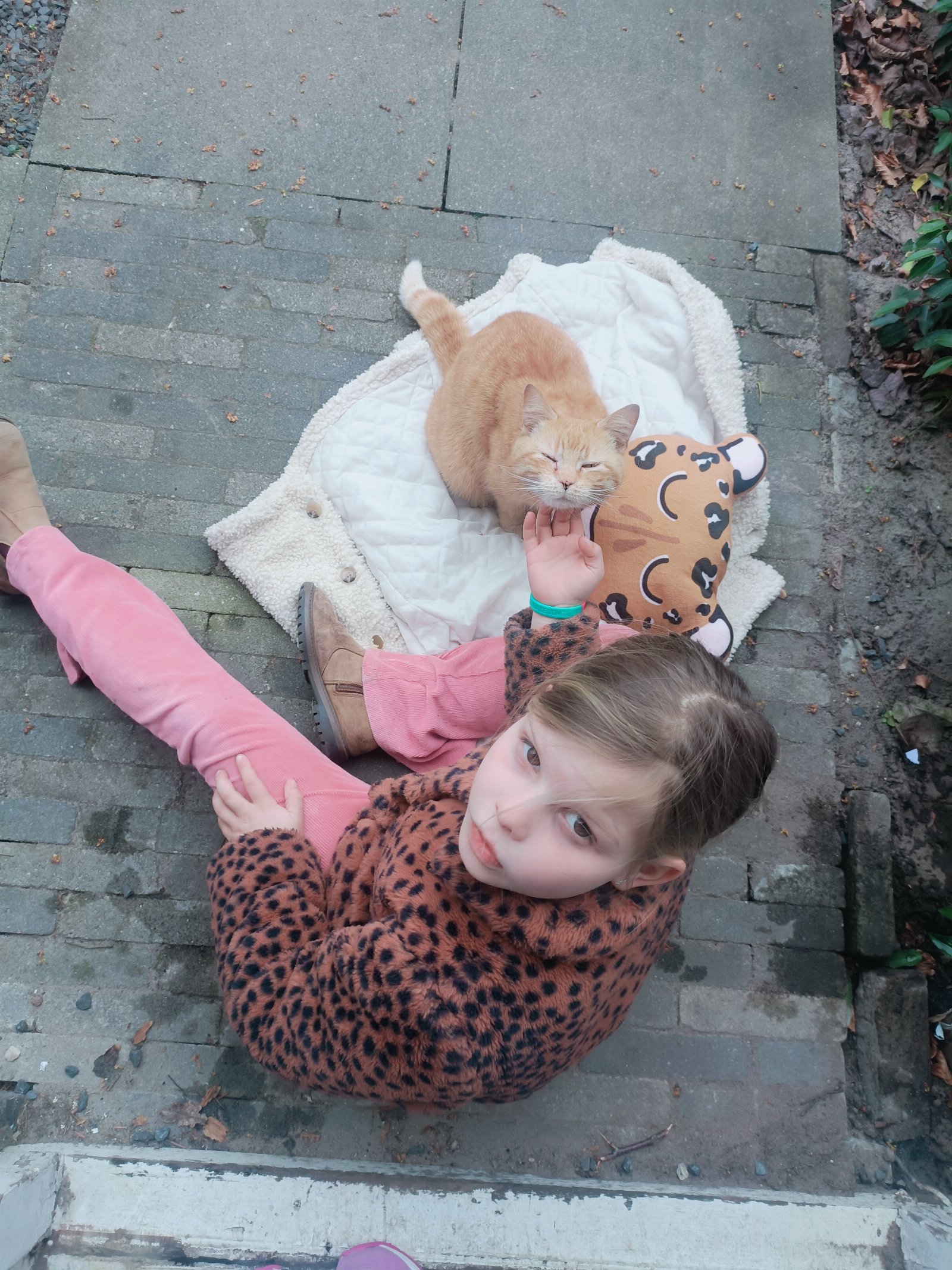 Niels, pet sitter in Laren, photo 2