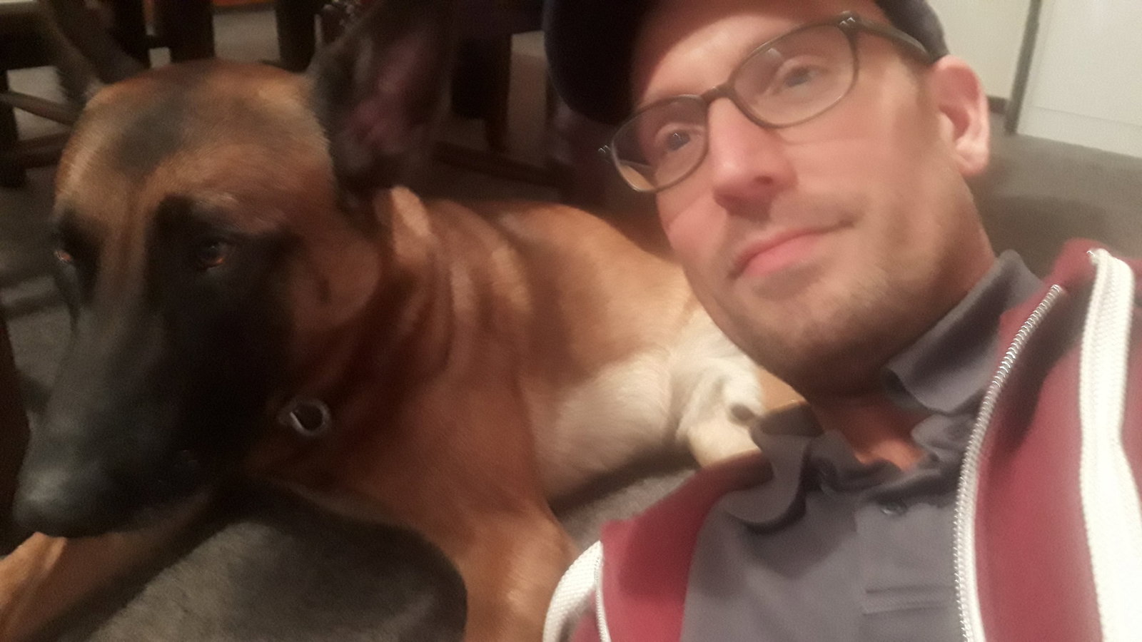 Ludo, pet sitter in Ulvenhout, photo 5