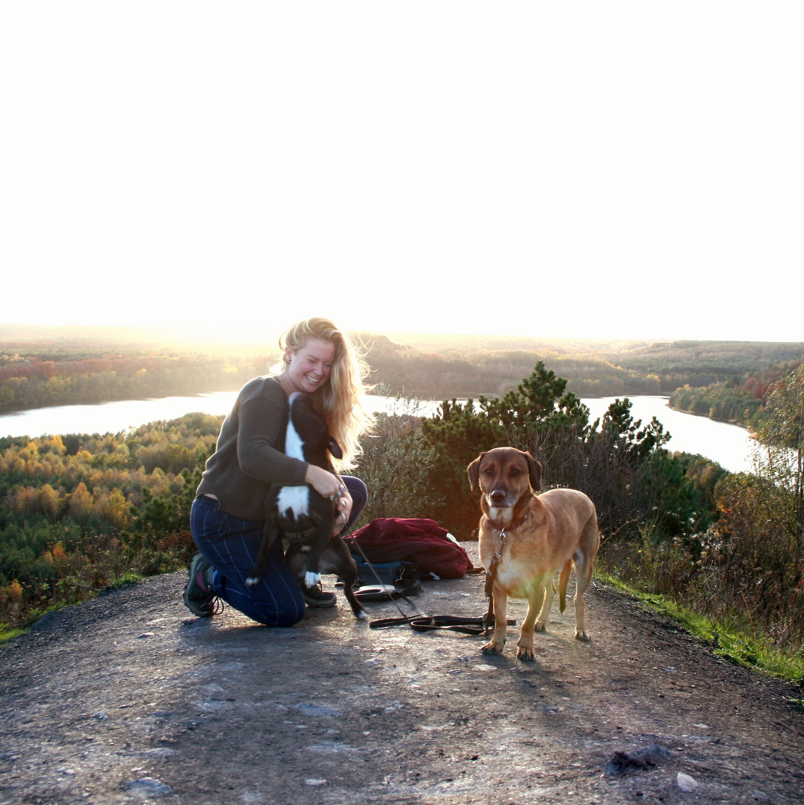 Dine, pet sitter in IJmuiden, photo 2