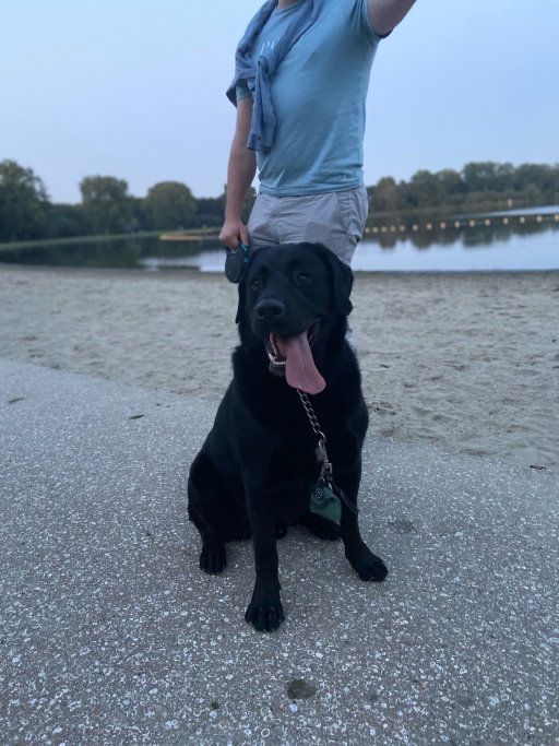 Emily, pet sitter in 's-Gravenhage, photo 3