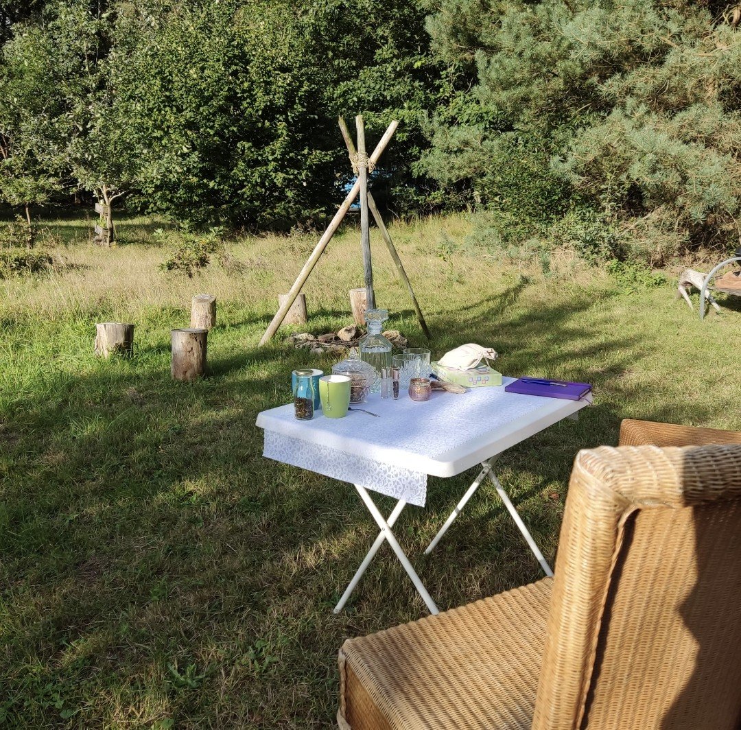 Susan, pet sitter in Leende, photo 3