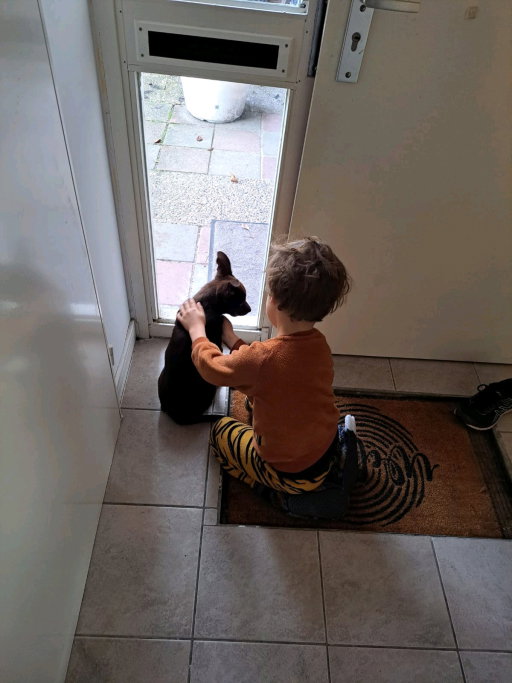 Daphne, pet sitter in Budel-Schoot, photo 4