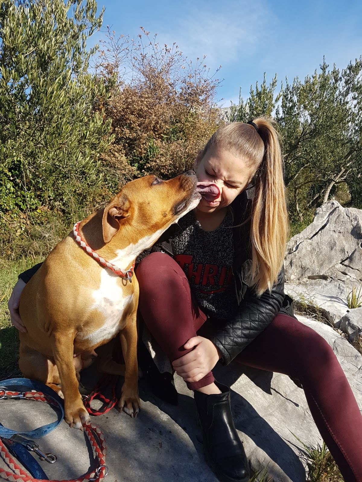 Matea, dierenoppas in Nieuw-Lekkerland, foto 4