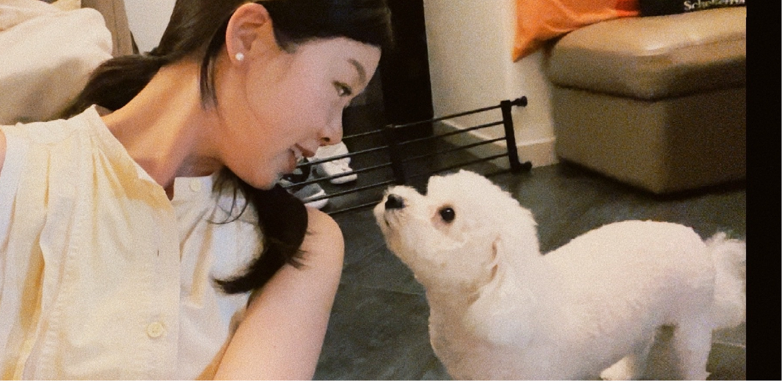 Allie, pet sitter in Amsterdam, photo 1