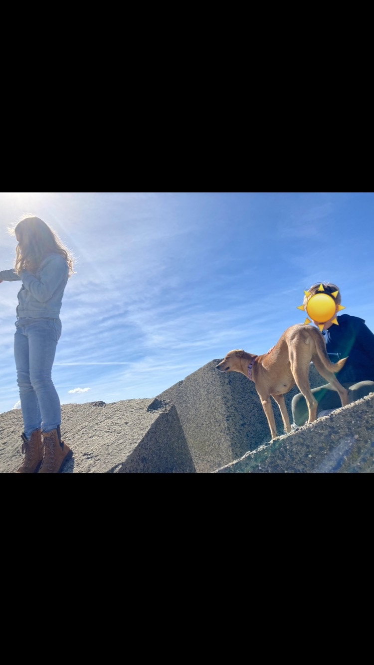 Rosalie, pet sitter in 's-Gravenhage, photo 3