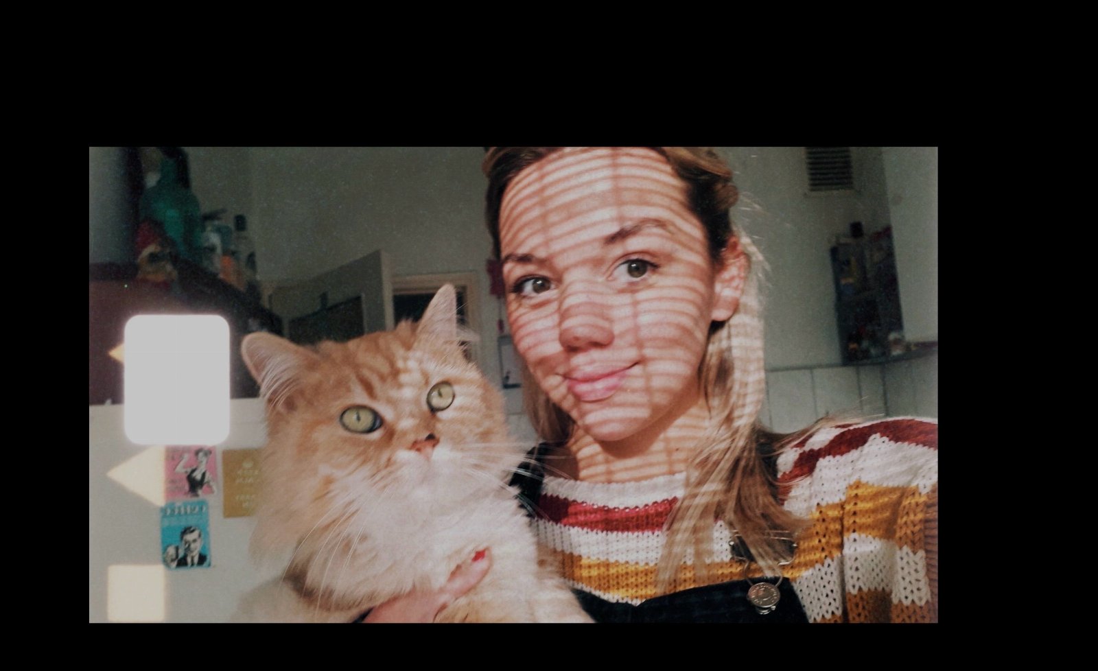 Saar, pet sitter in Den Haag, photo 5