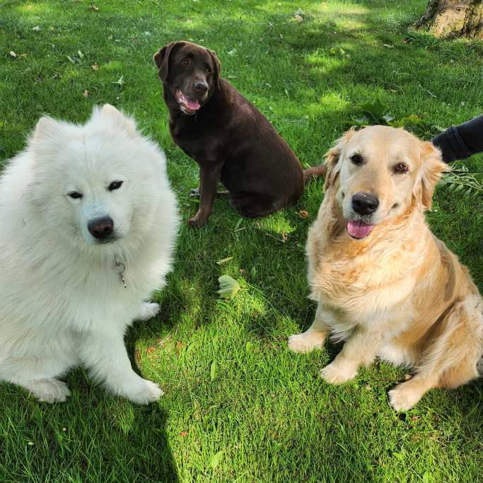 Patricia, pet sitter in Cuijk, photo 4