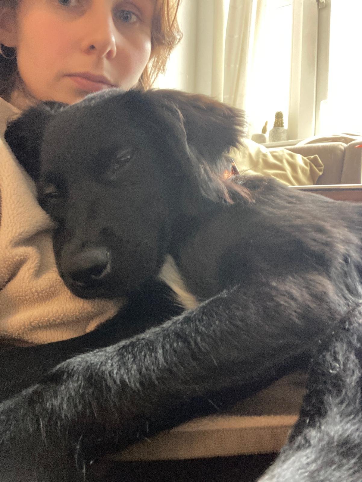 Laura, pet sitter in Amsterdam, photo 5