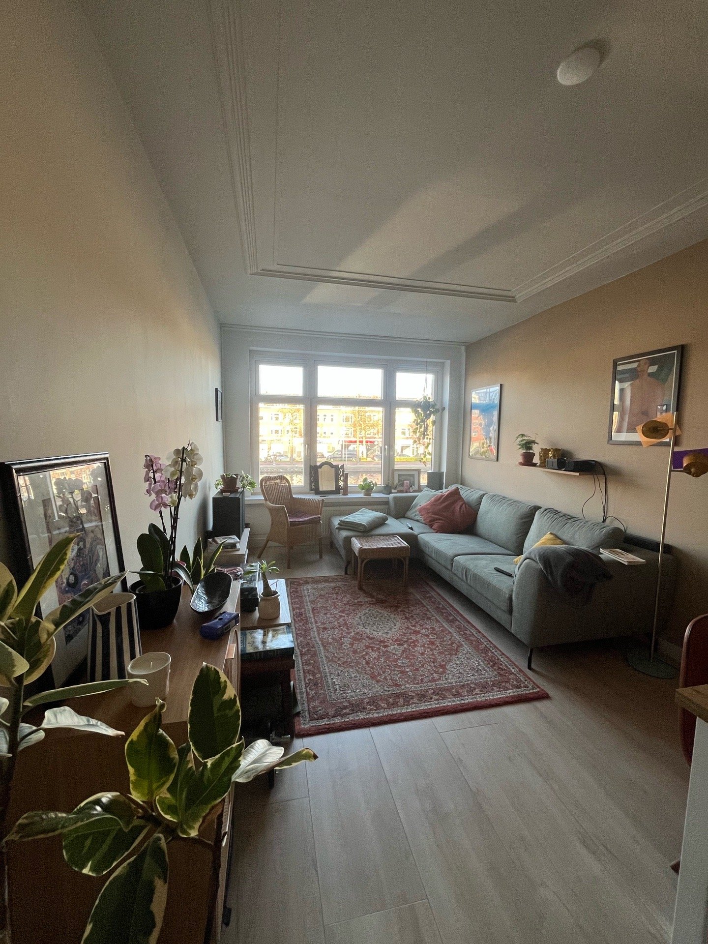 Maiara, dierenoppas in Rotterdam, foto 3