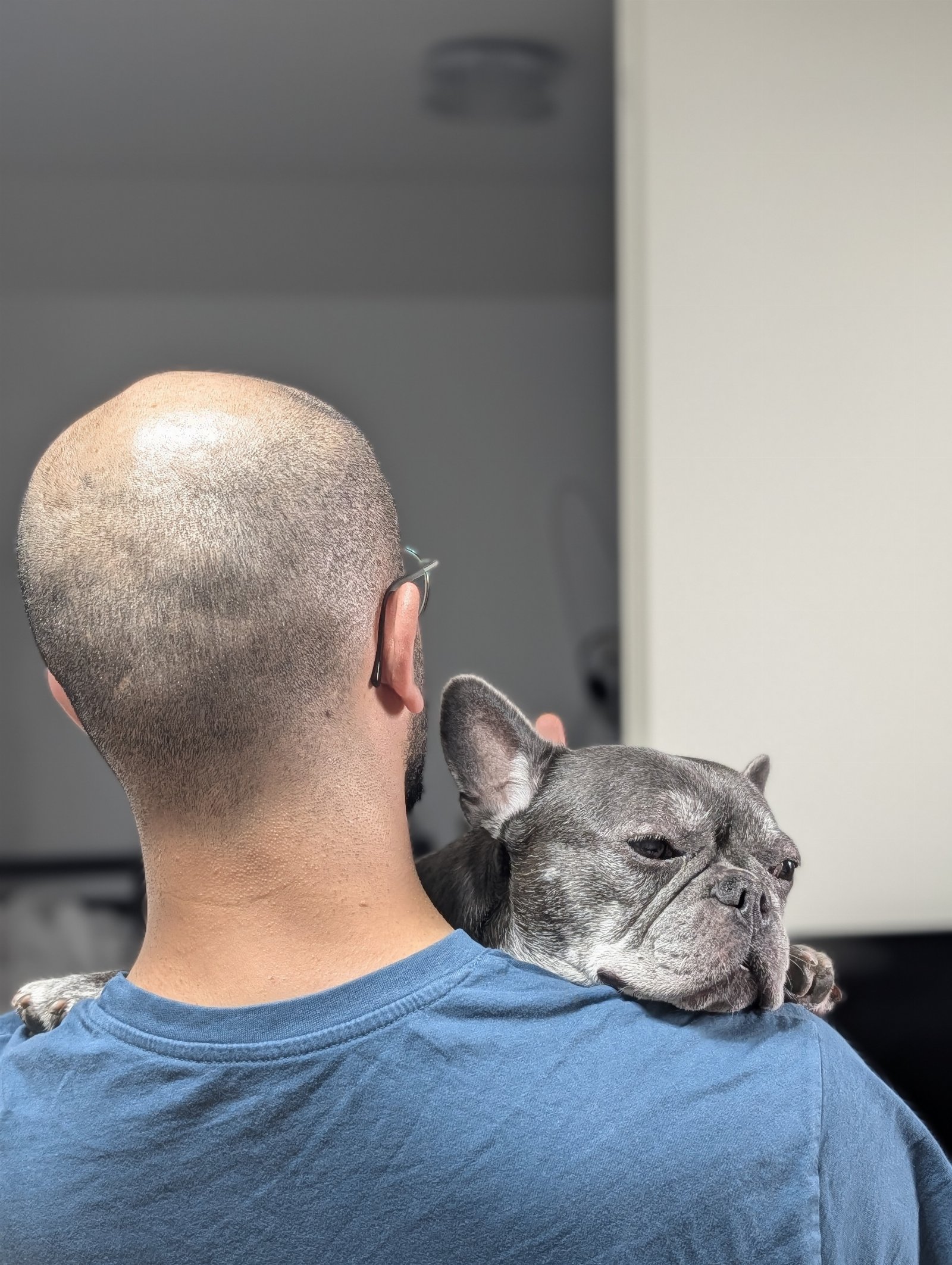 Ehsan, pet sitter in Arnhem, photo 5