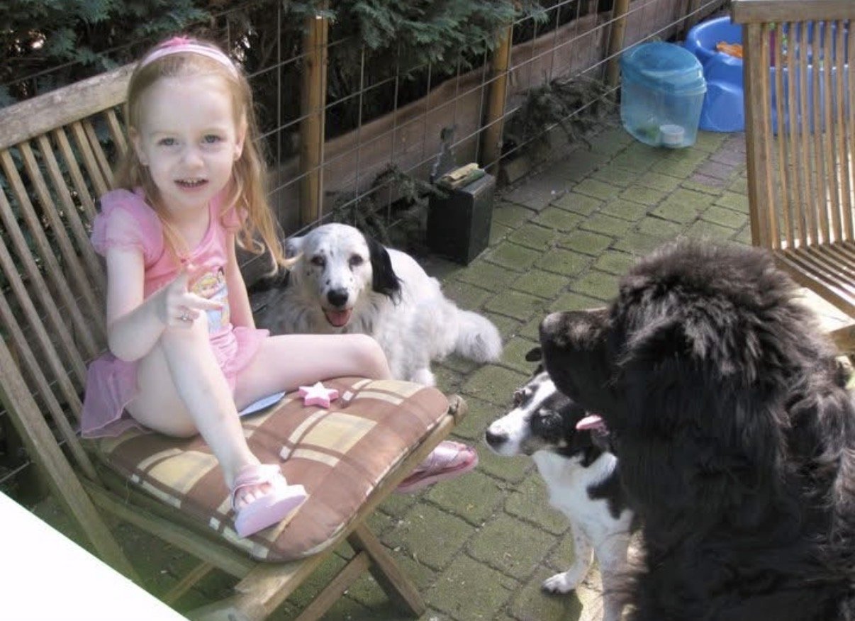 Nikki, dierenoppas in Soest, foto 2