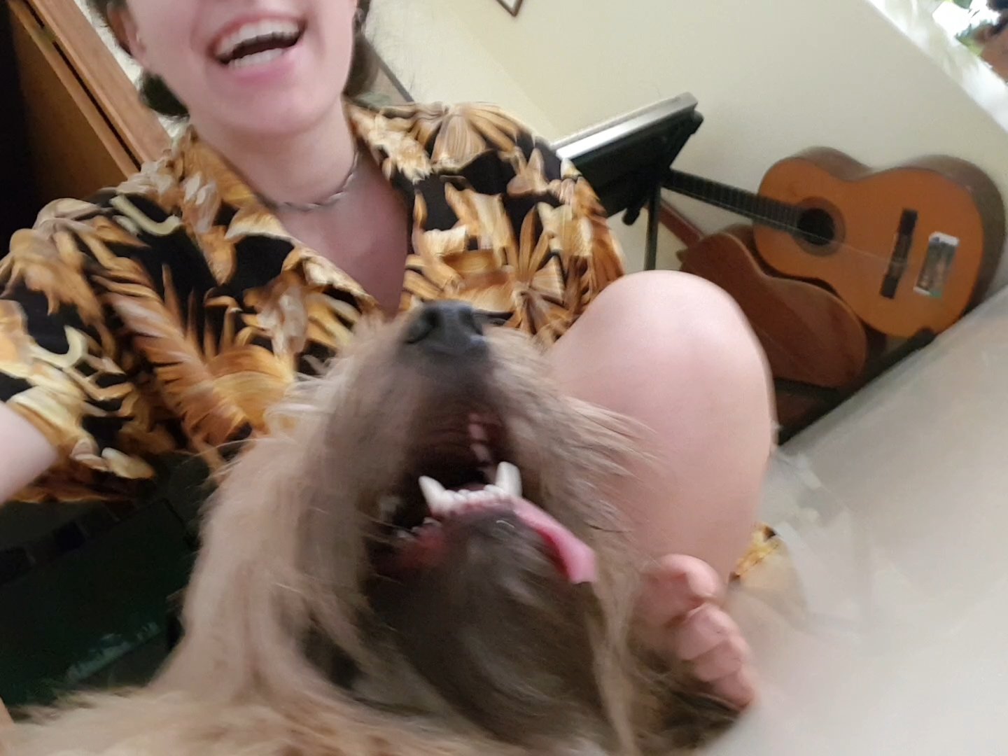 Marta, pet sitter in Nijmegen, photo 4
