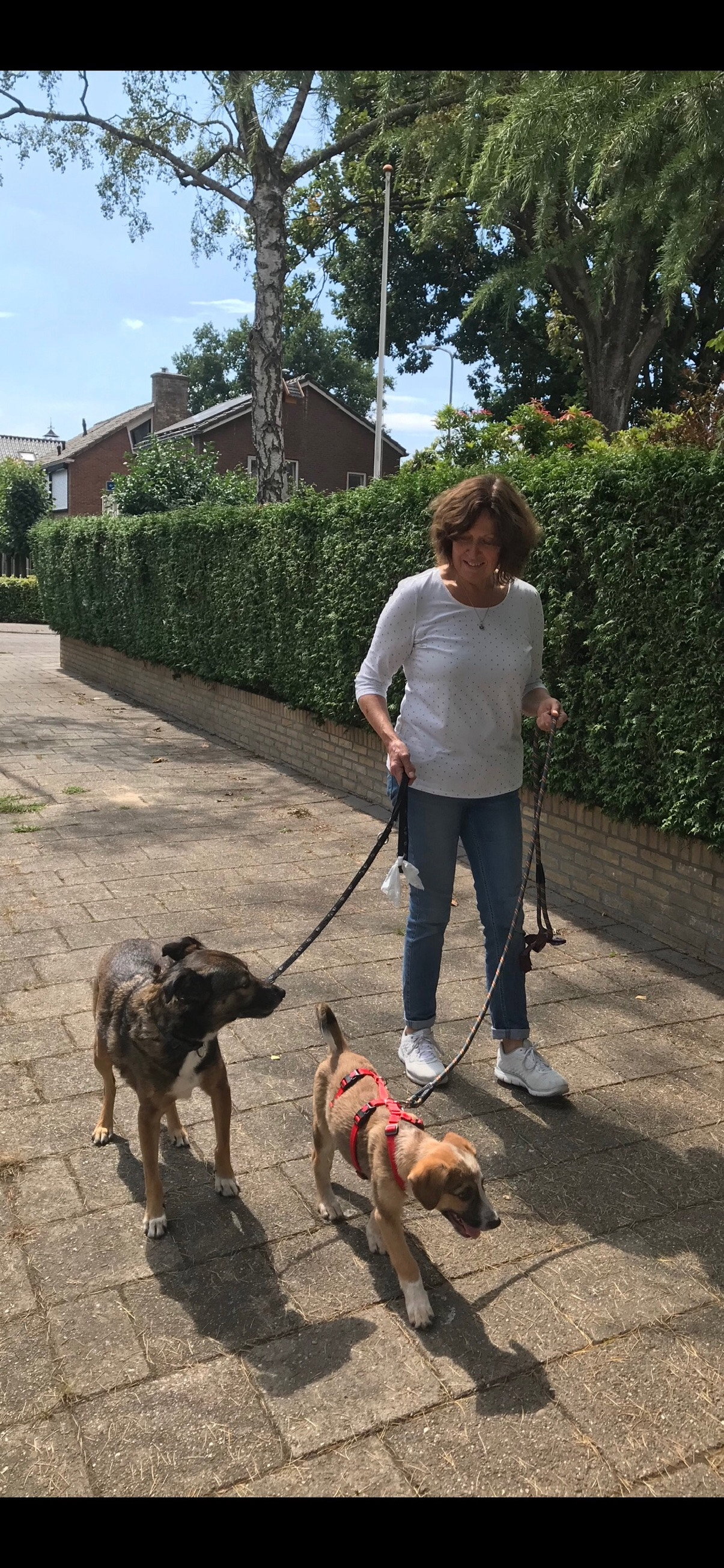 Jennyta, dierenoppas in Ede, foto 4