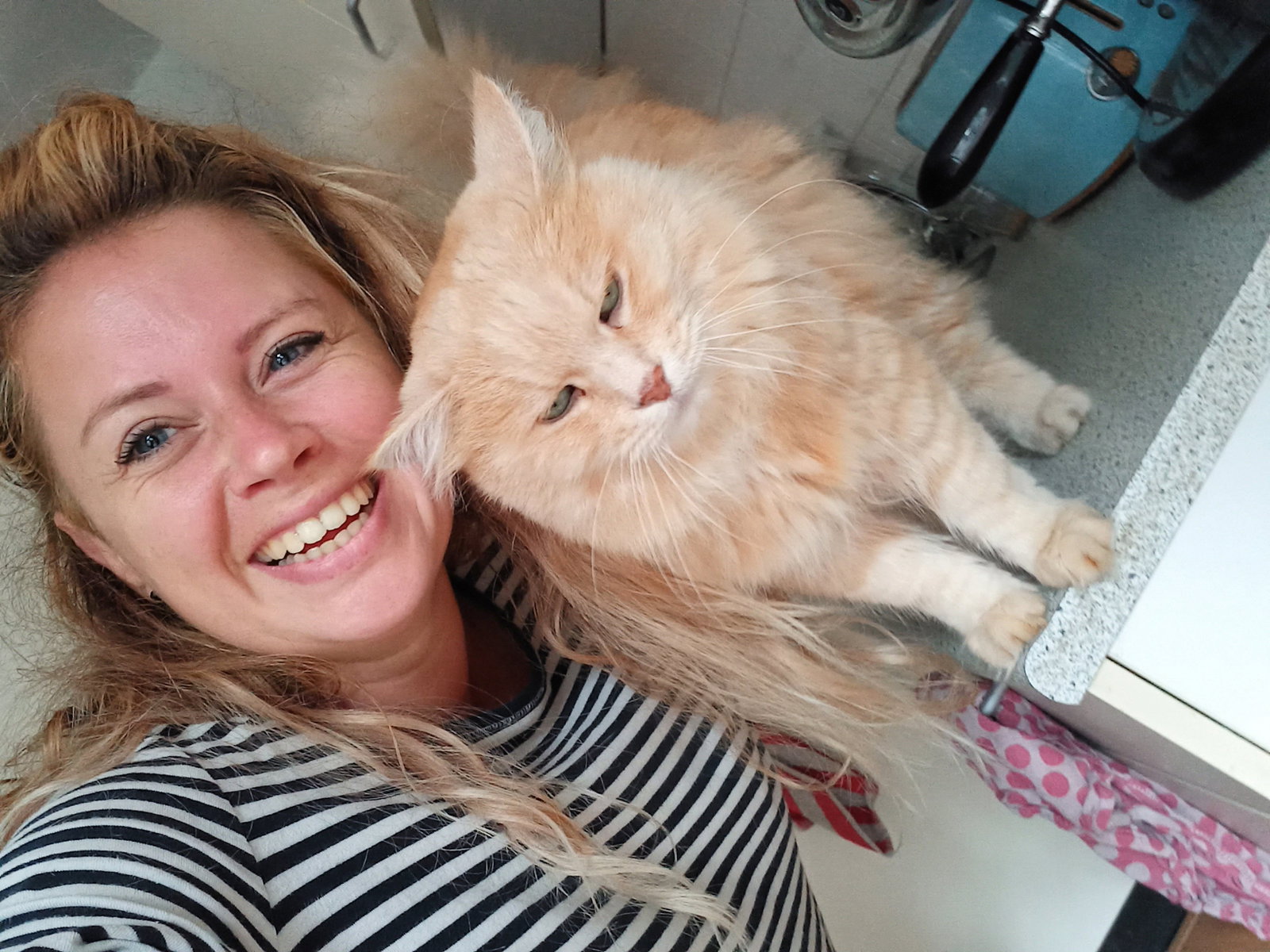 Dine, pet sitter in IJmuiden, photo 5