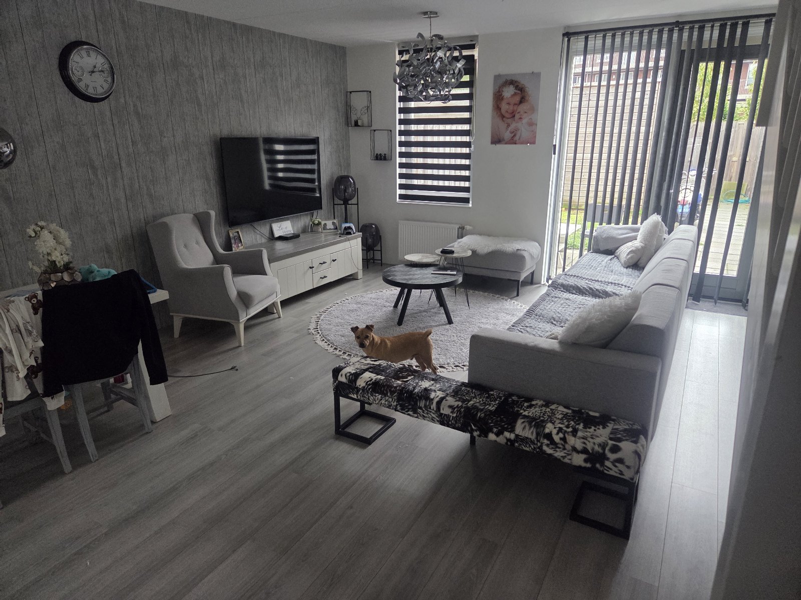 Leslie, pet sitter in Utrecht, photo 4