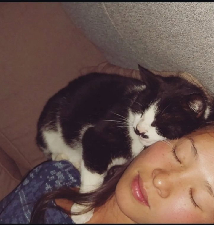 Linde, pet-sitter à Koksijde, photo 1
