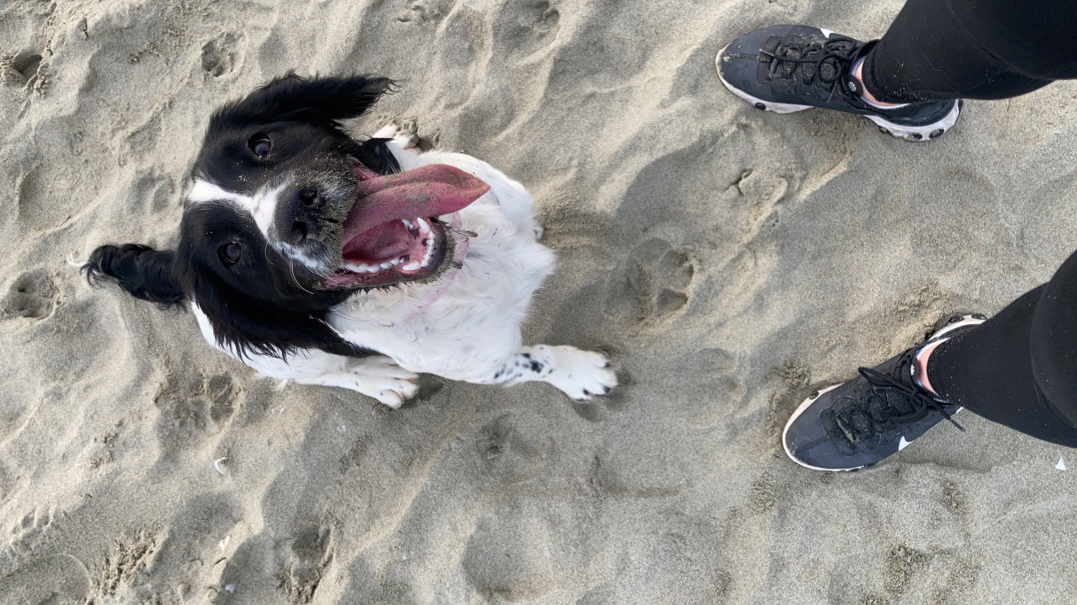 Sara, pet sitter in Amsterdam, photo 2