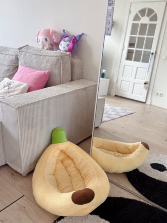 rabiye, pet sitter in Rotterdam, photo 3