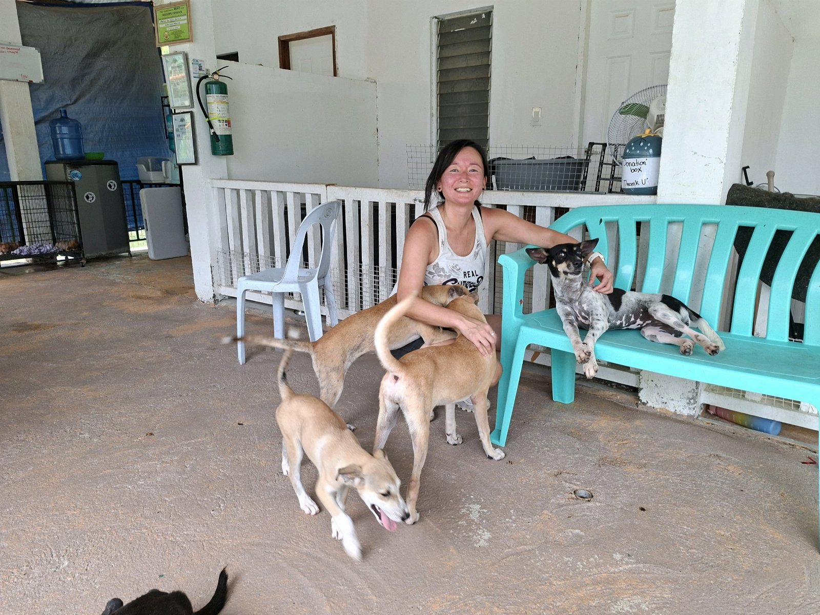 Manja, pet sitter in Roermond, photo 1