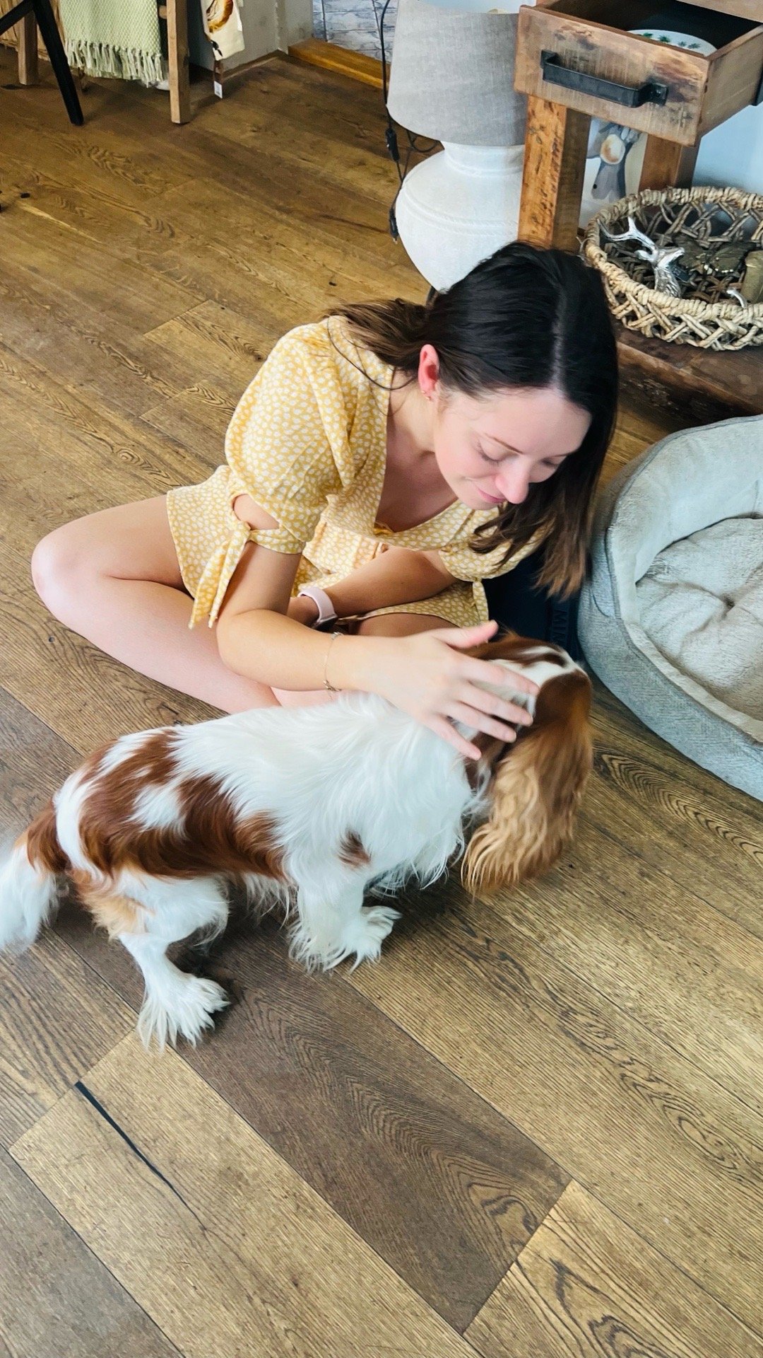 Simone, pet sitter in Helden, photo 2
