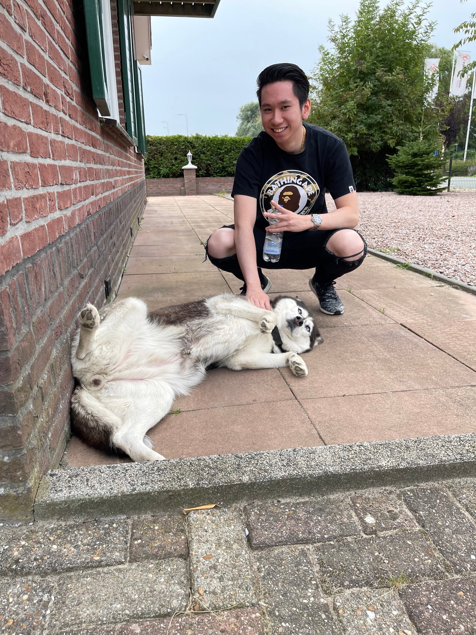 Zheng Long, dierenoppas in Vught, foto 1
