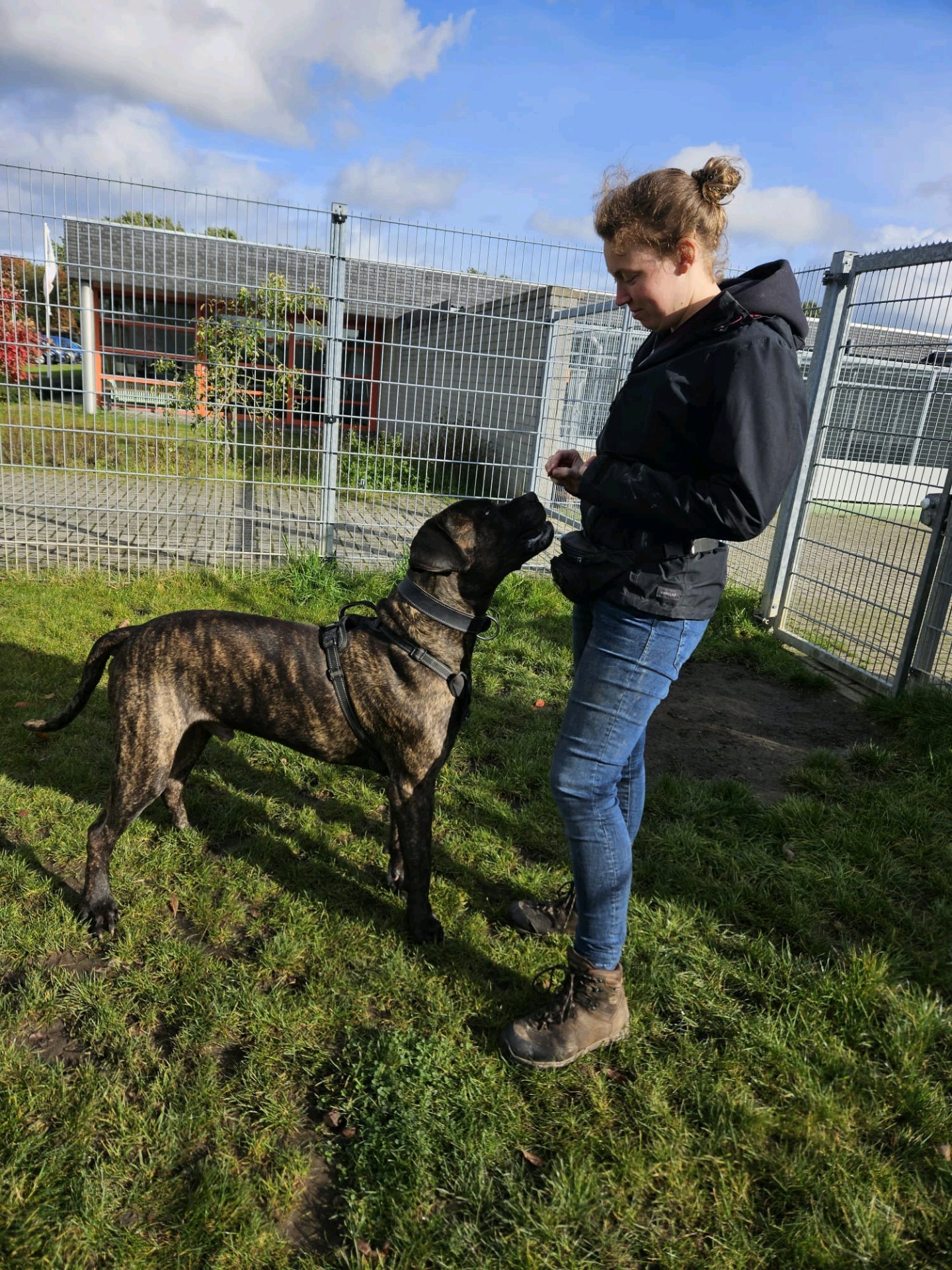 Mayva, pet sitter in Oost-Souburg, photo 2
