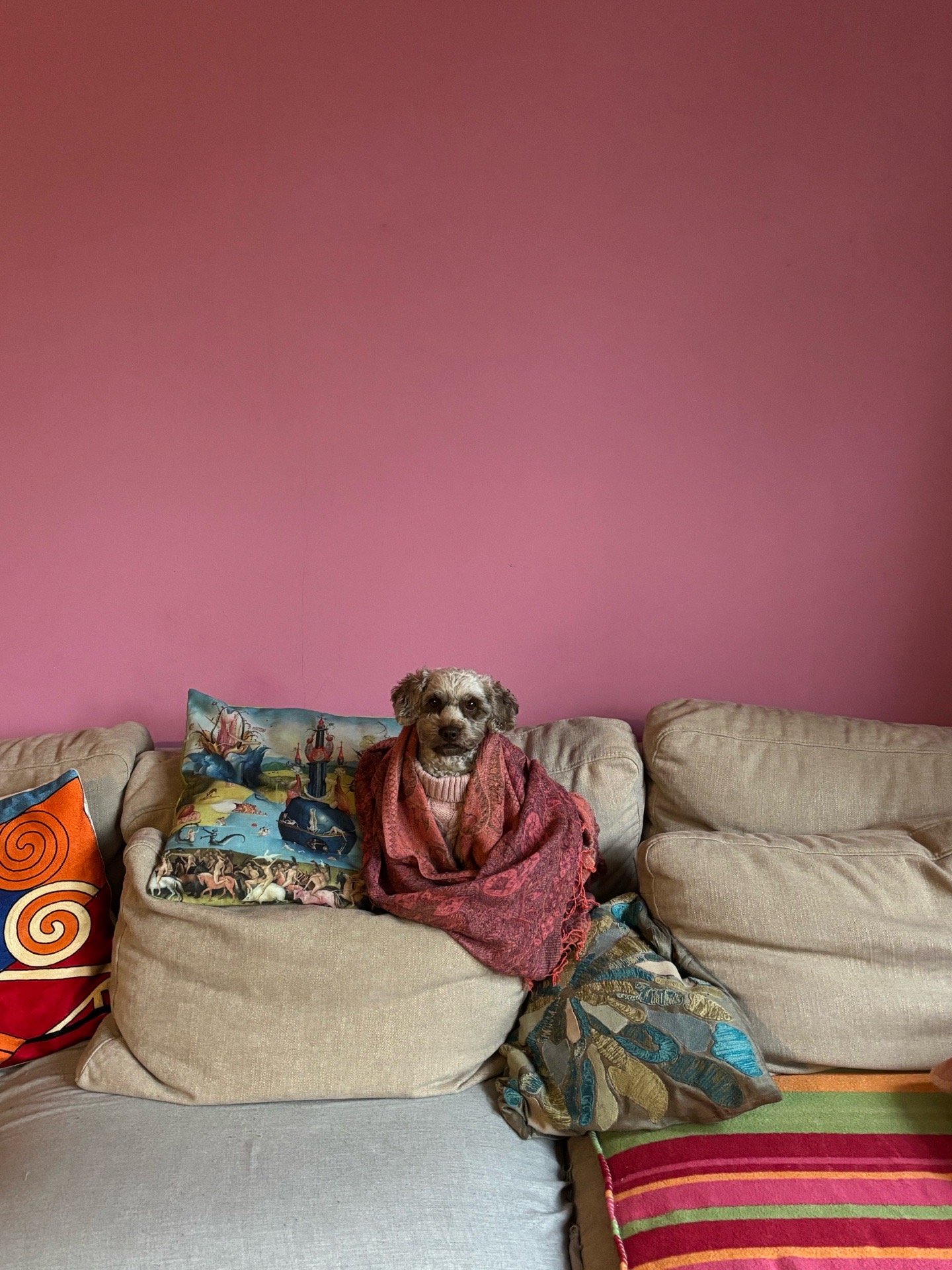 Melina, pet sitter in Wageningen, photo 2