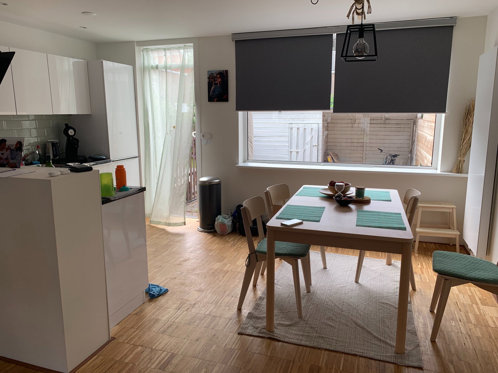 Danylo, pet sitter in Zaandam, photo 4