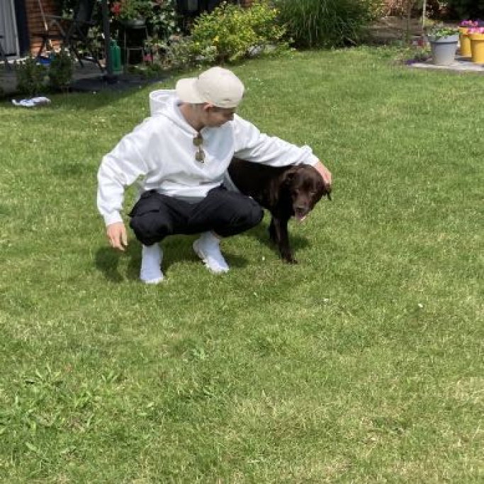 Nordin, pet sitter in Deventer, photo 4