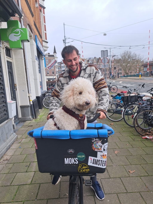 Rutger, pet sitter in Amsterdam, photo 3