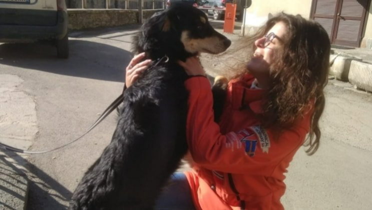 Cora, pet sitter in Utrecht, photo 1