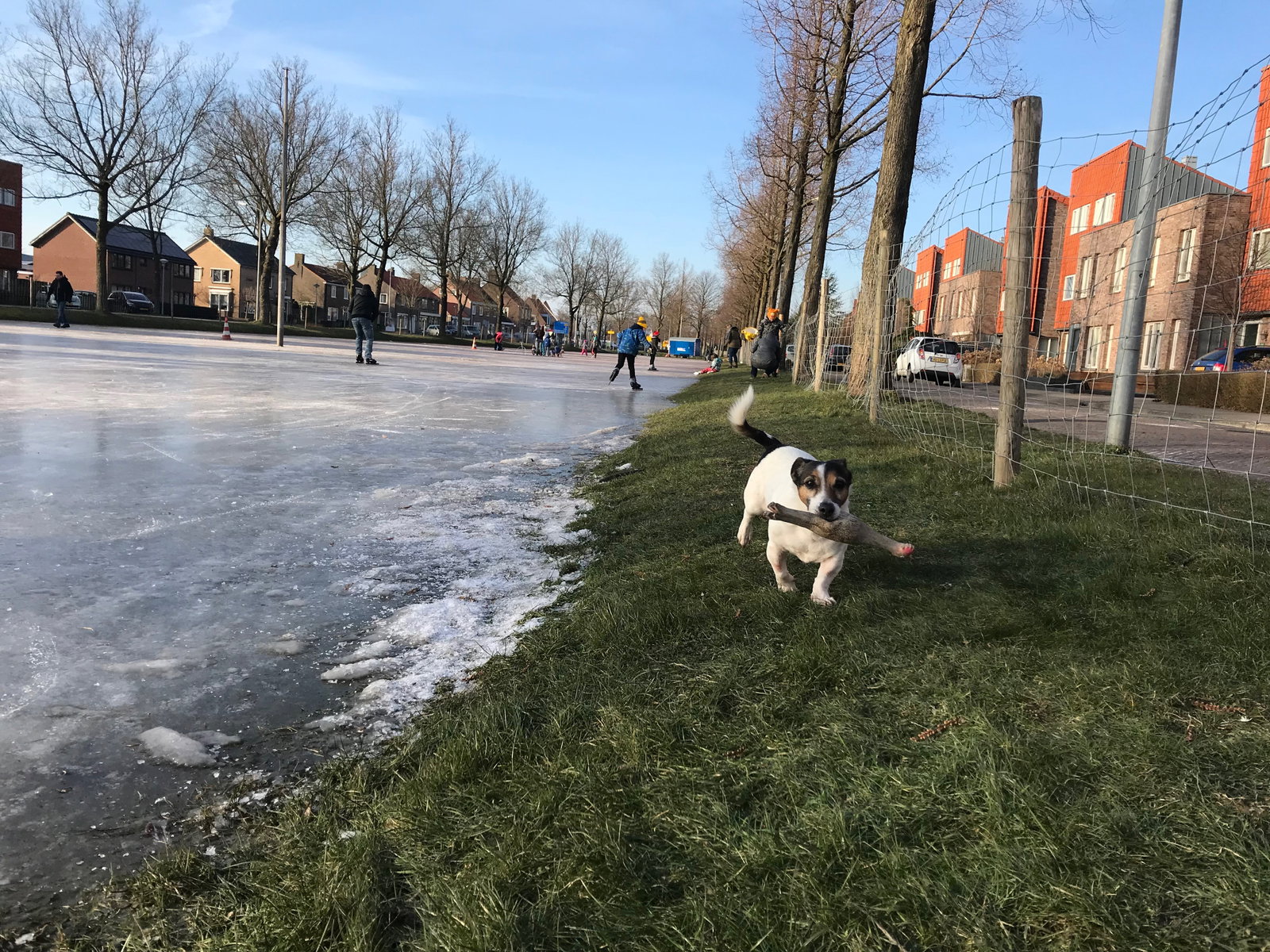 Paul, pet sitter in Slootdorp, photo 4