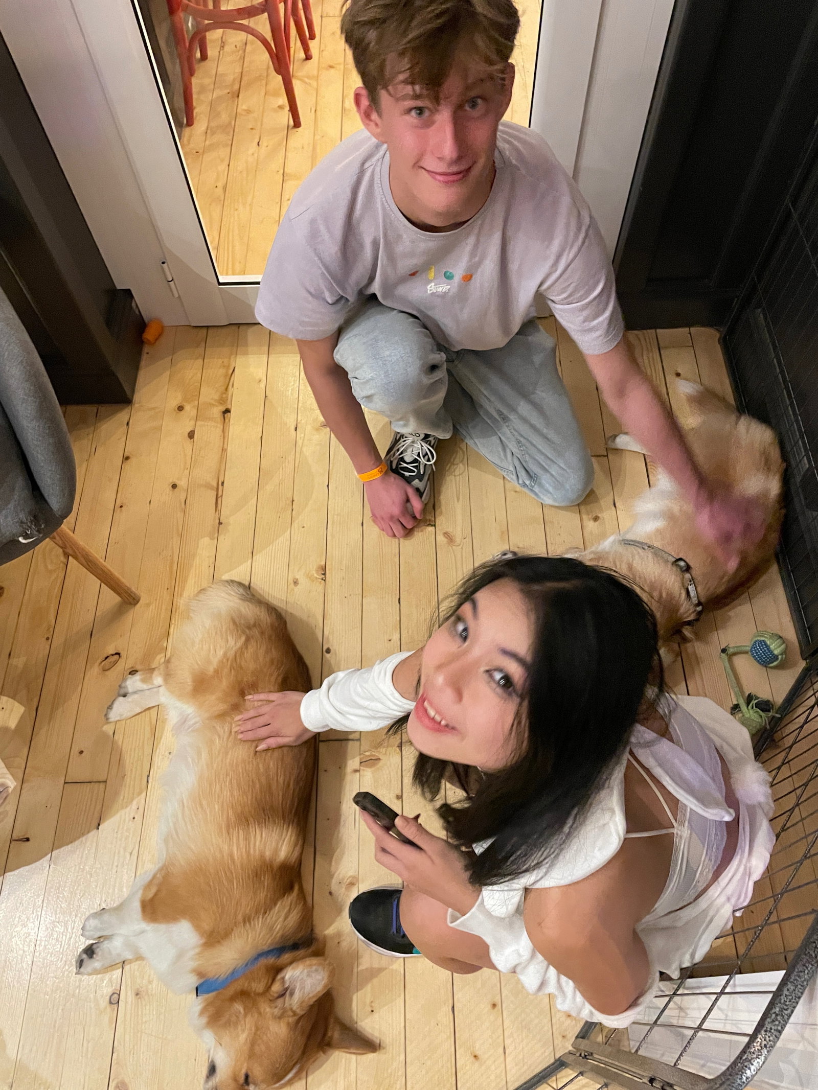 sem, pet sitter in Eindhoven, photo 3