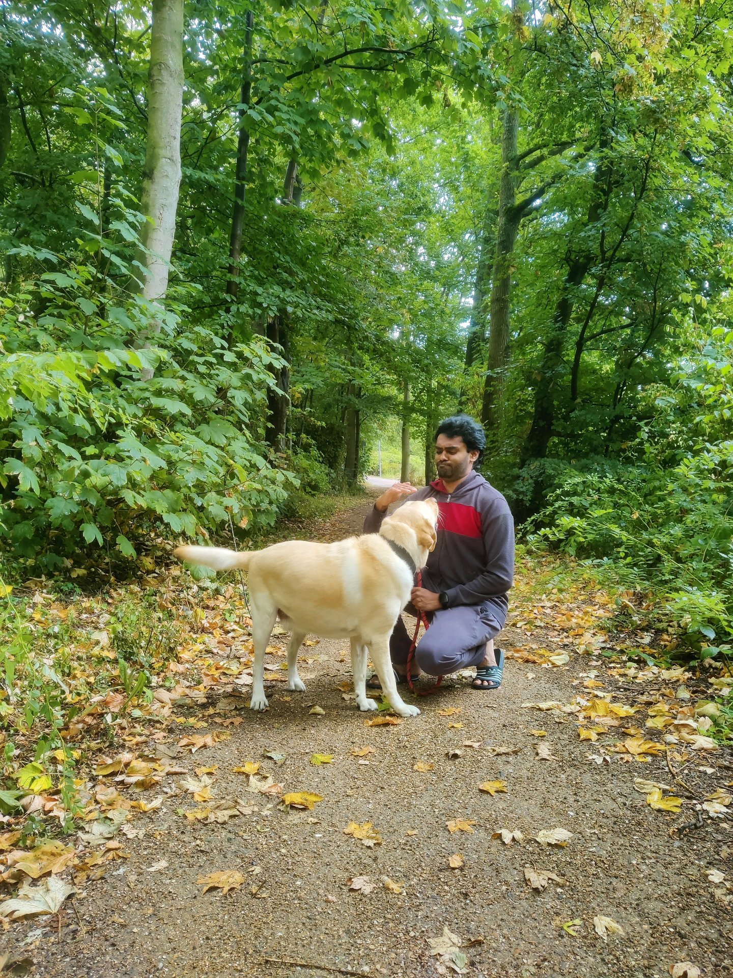 G, pet sitter in Hoogvliet Rotterdam, photo 3
