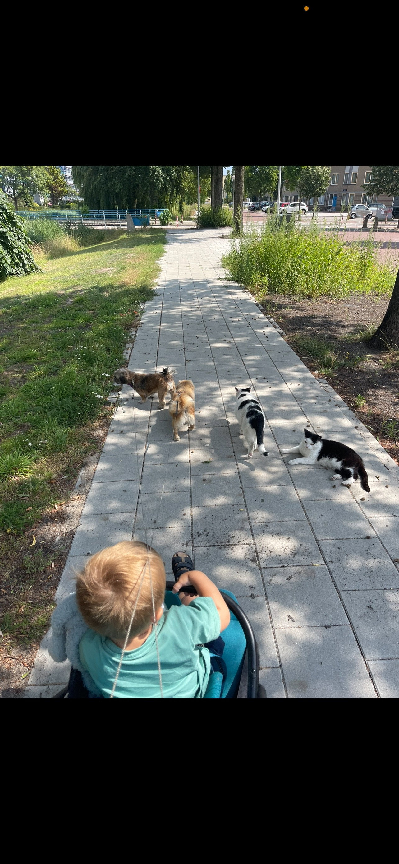 Melissa, pet sitter in Landsmeer, photo 1