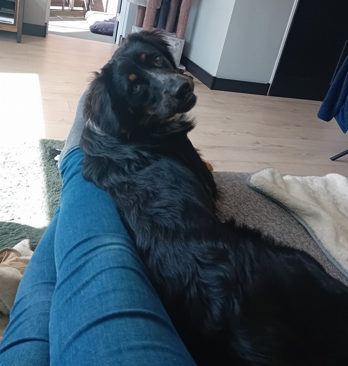 Laura, pet sitter in Dordrecht, photo 3
