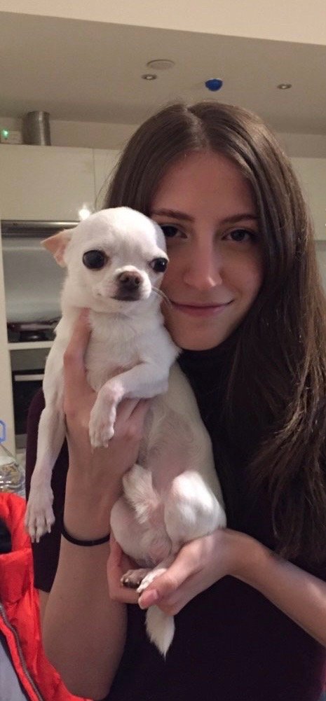 Ekin, pet sitter in 's-Gravenhage, photo 1