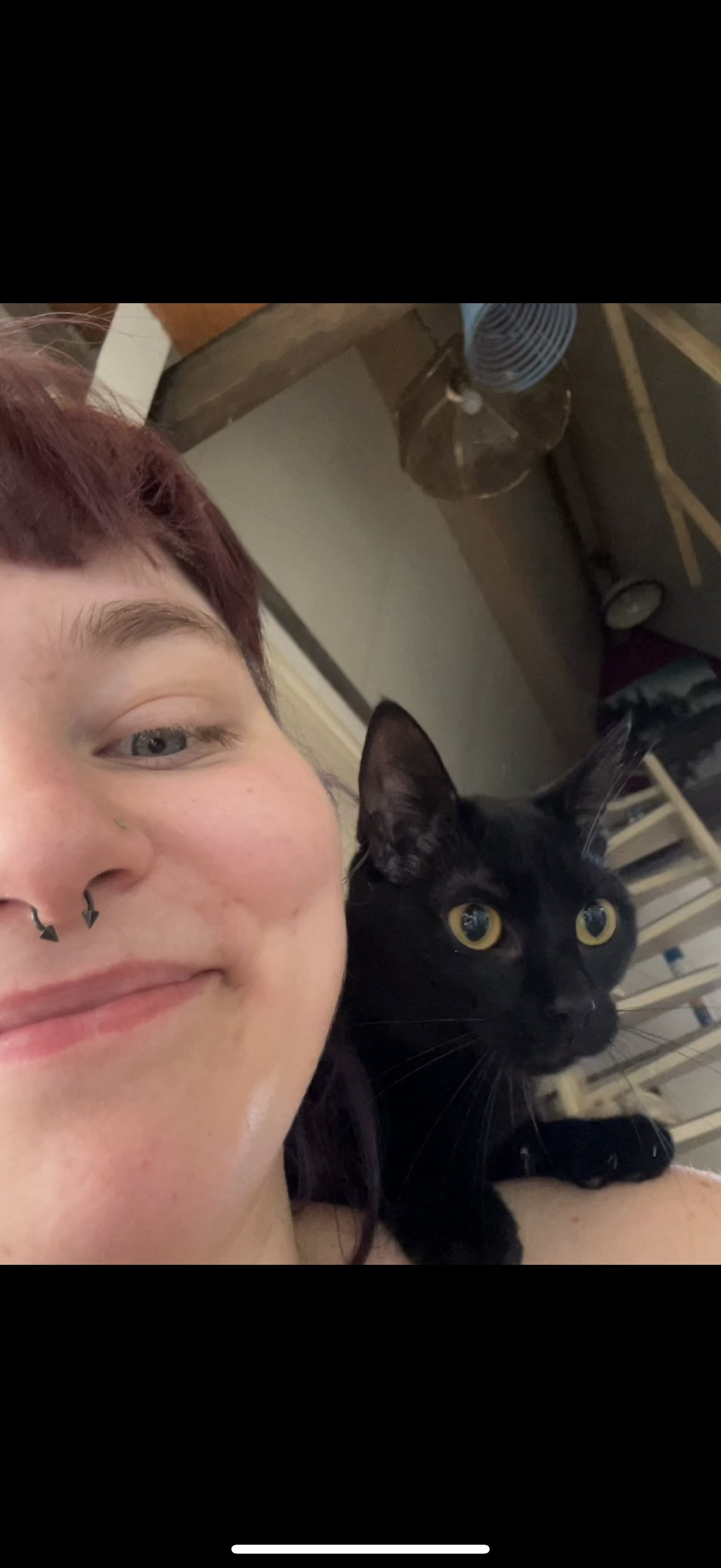 Anastazja, pet sitter in 's-Hertogenbosch, photo 2