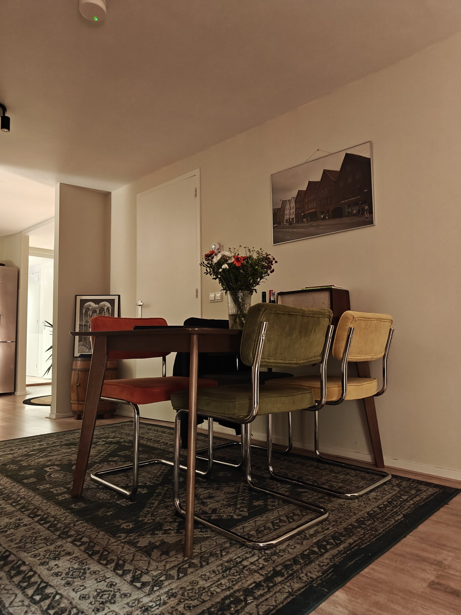 Jesse, pet sitter in Rotterdam, photo 2