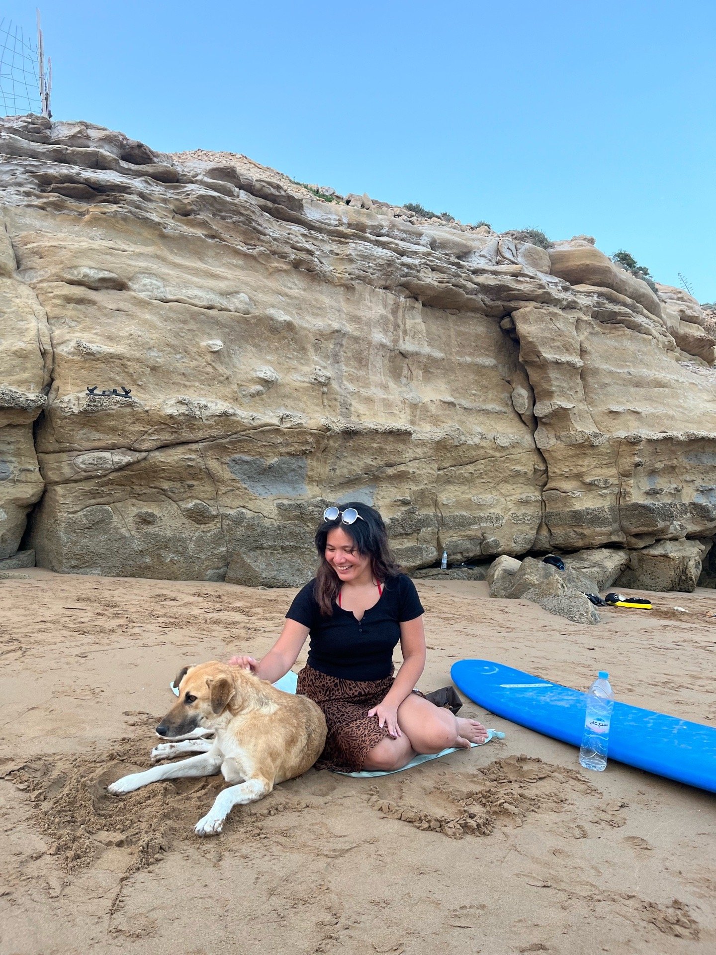 Adinda, pet sitter in Rijswijk, photo 2