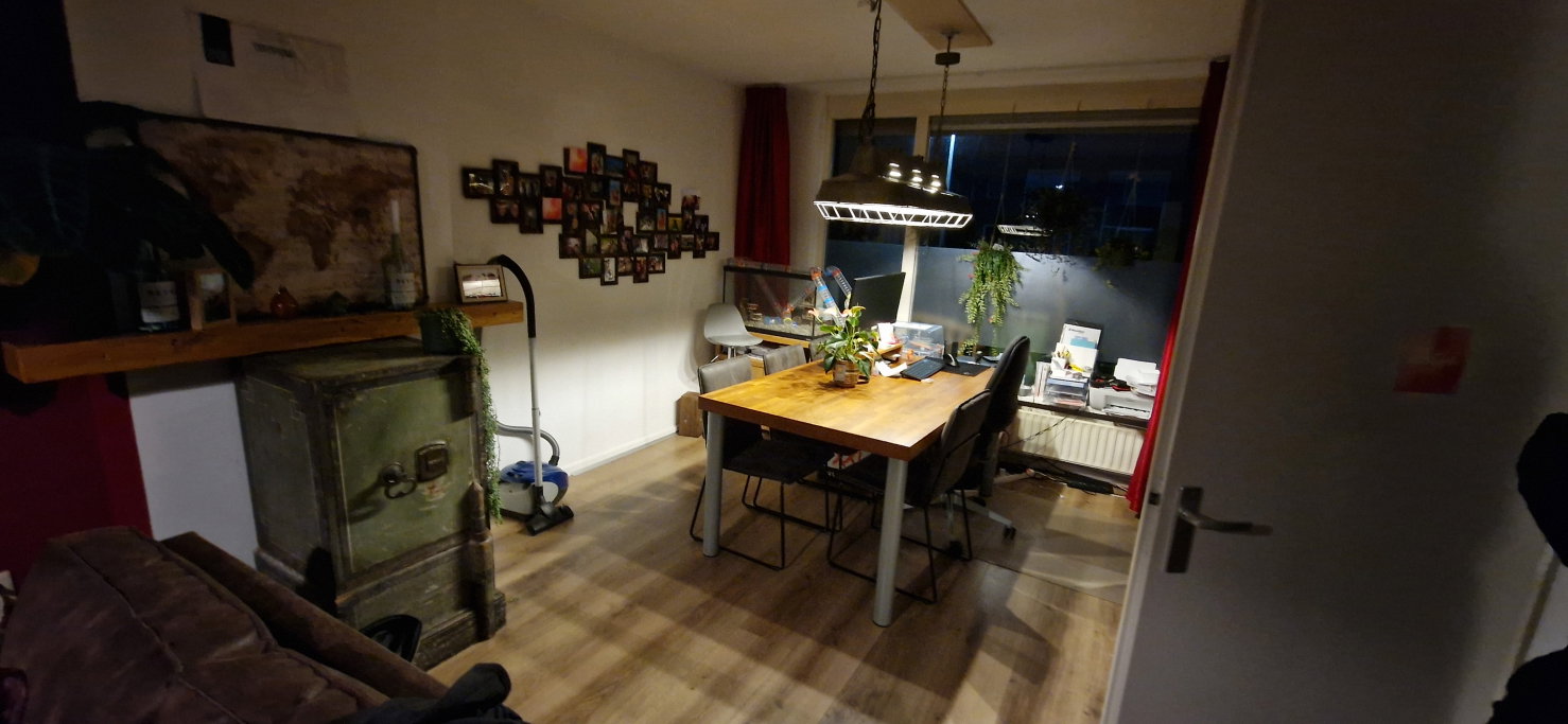 Jade, dierenoppas in Hoevelaken, foto 4