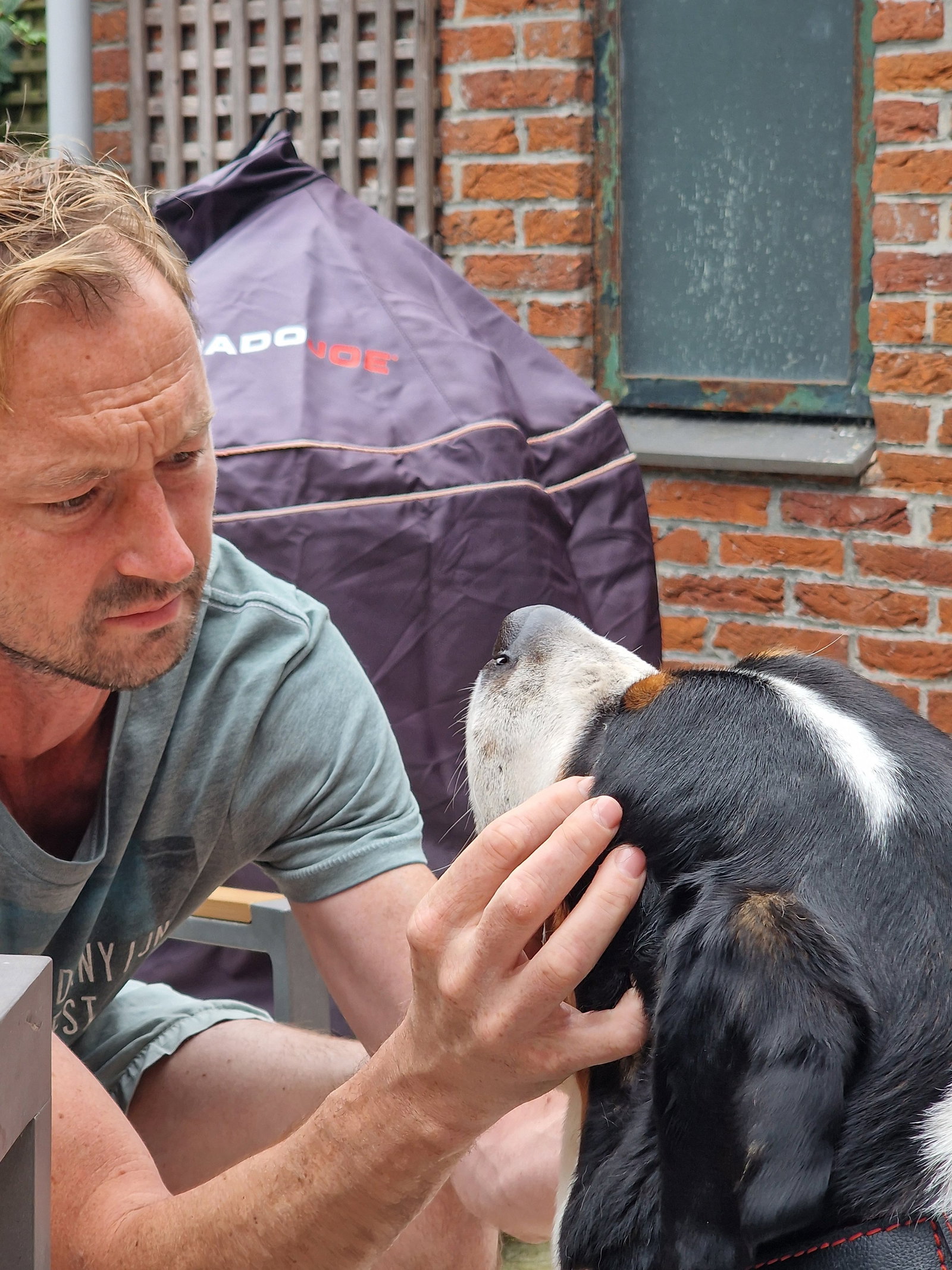 Michiel, pet sitter in 's-Gravenhage, photo 5