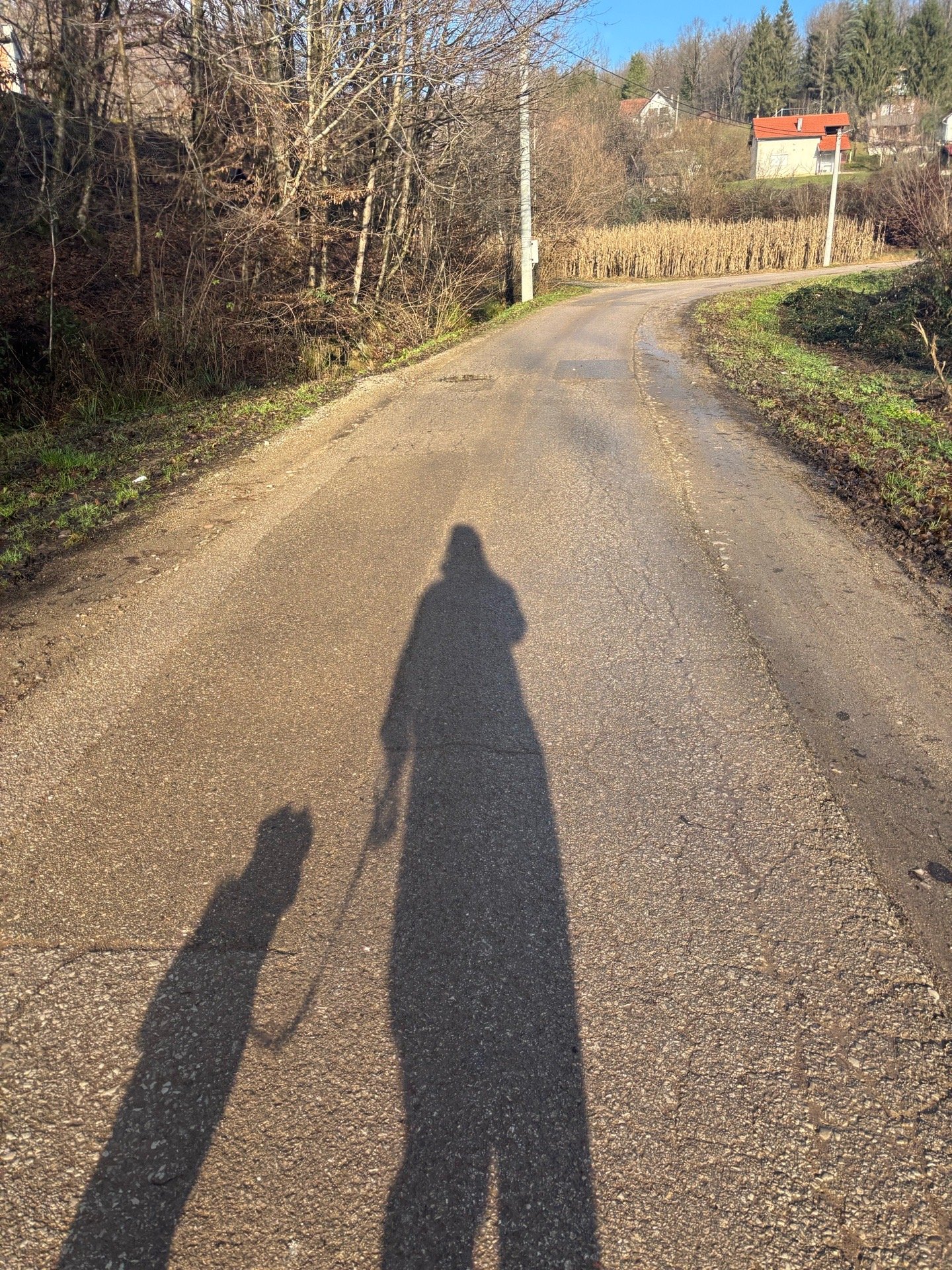 Levinia, pet sitter in 's-Gravenhage, photo 5