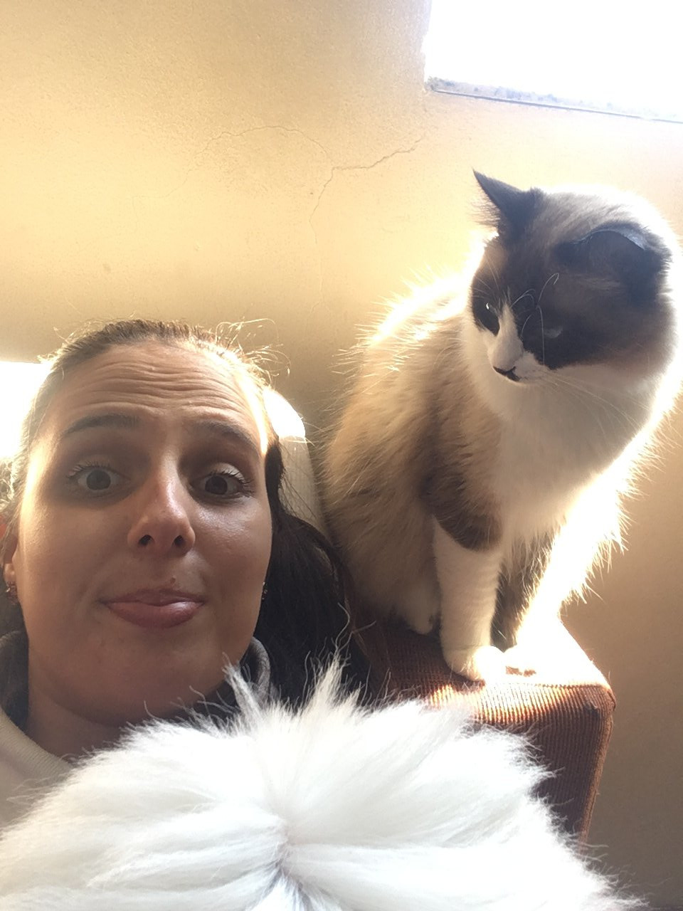 Maria Zelma, pet sitter in Vlijmen, photo 3