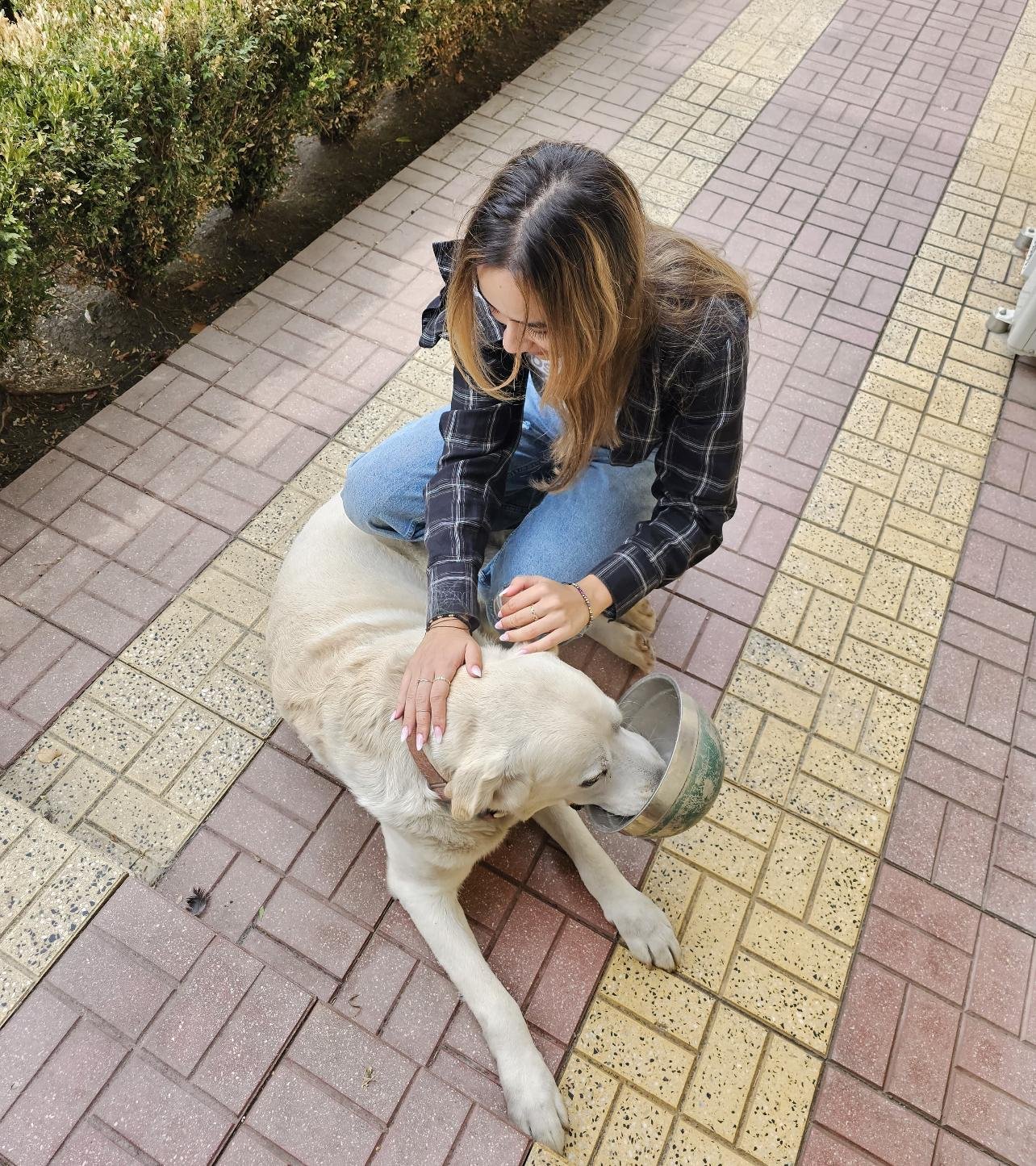 Deni, pet sitter in Leiden, photo 2