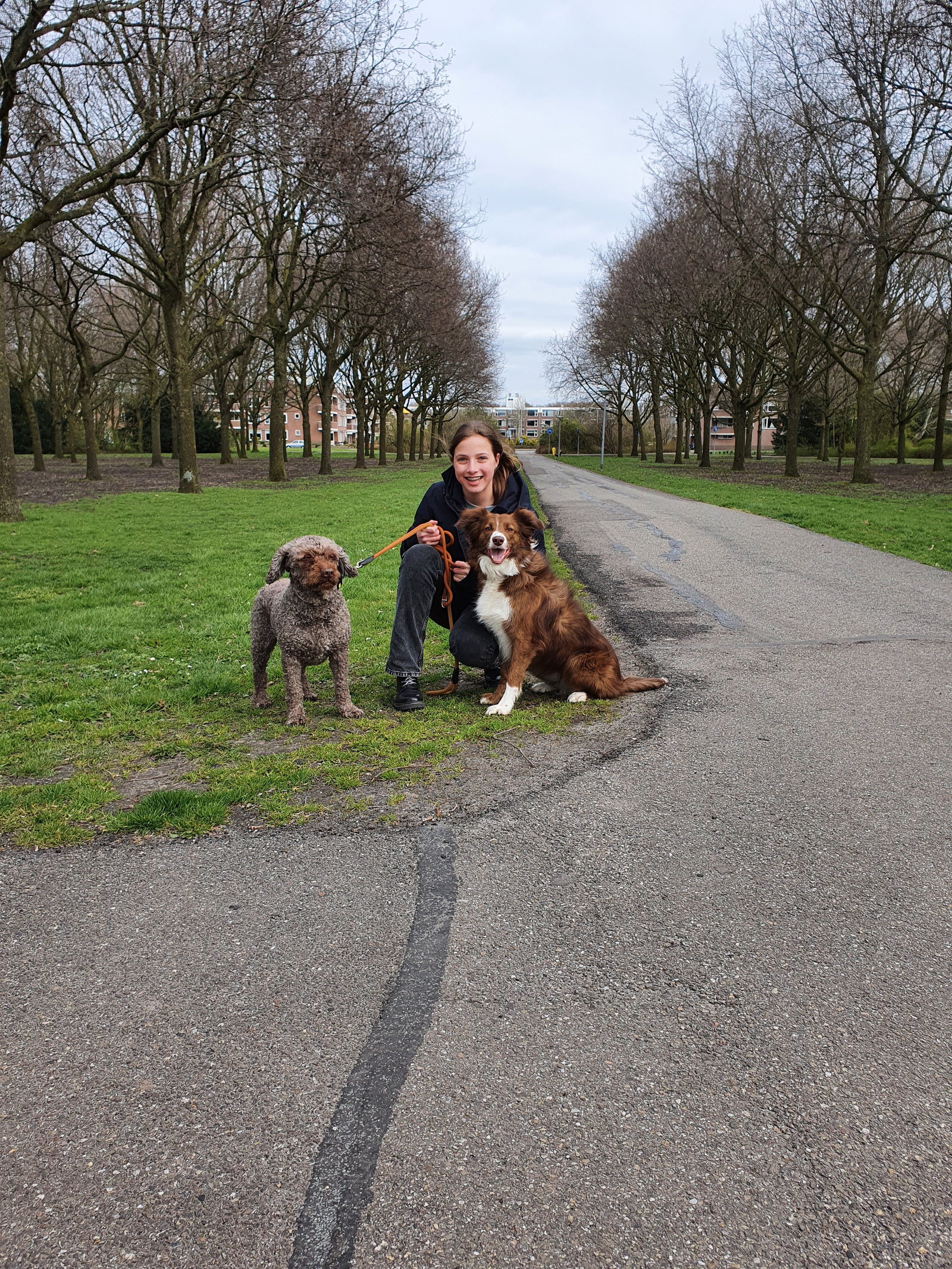 Bram, dierenoppas in Alphen aan den Rijn, foto 3
