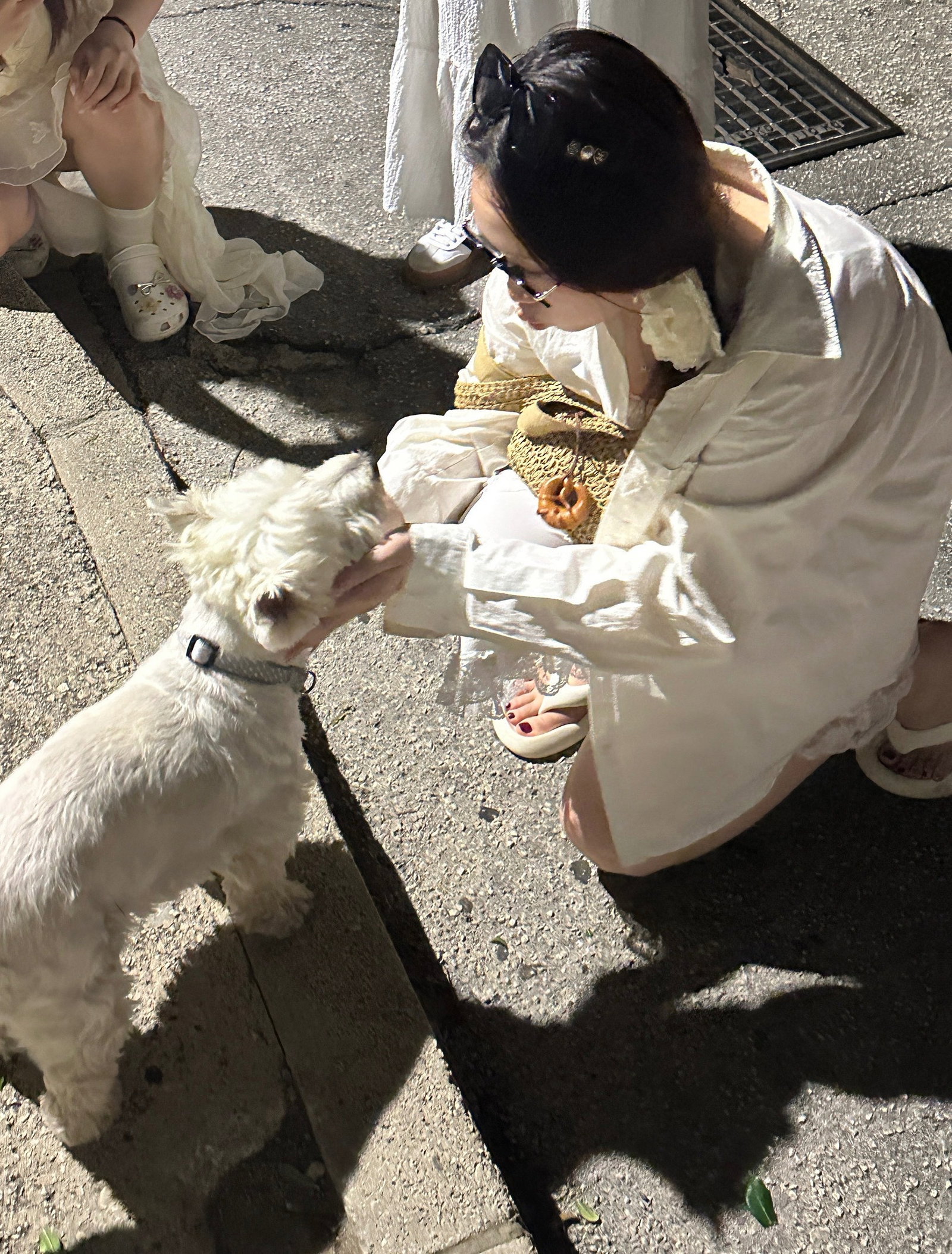 Cindy, pet sitter in Rijswijk, photo 1
