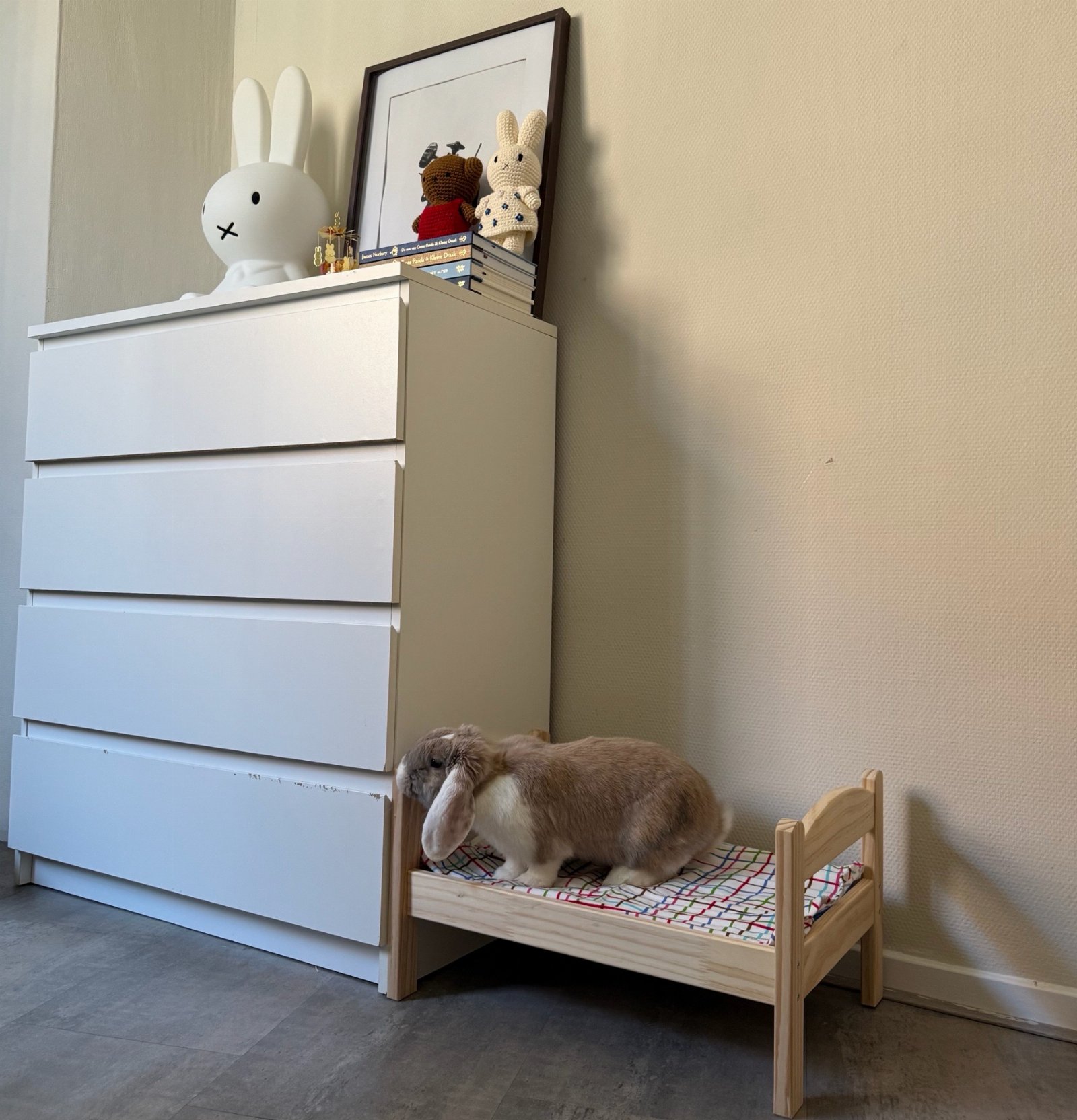 Chimène, dierenoppas in Gorinchem, foto 3