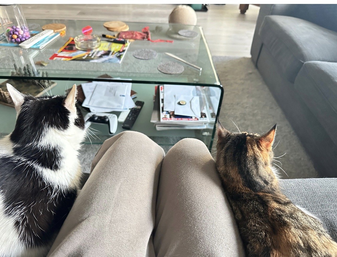 Femke, pet sitter in Alphen aan den Rijn, photo 1